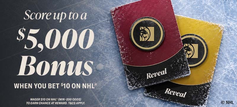NHL® Pick-A-Puck